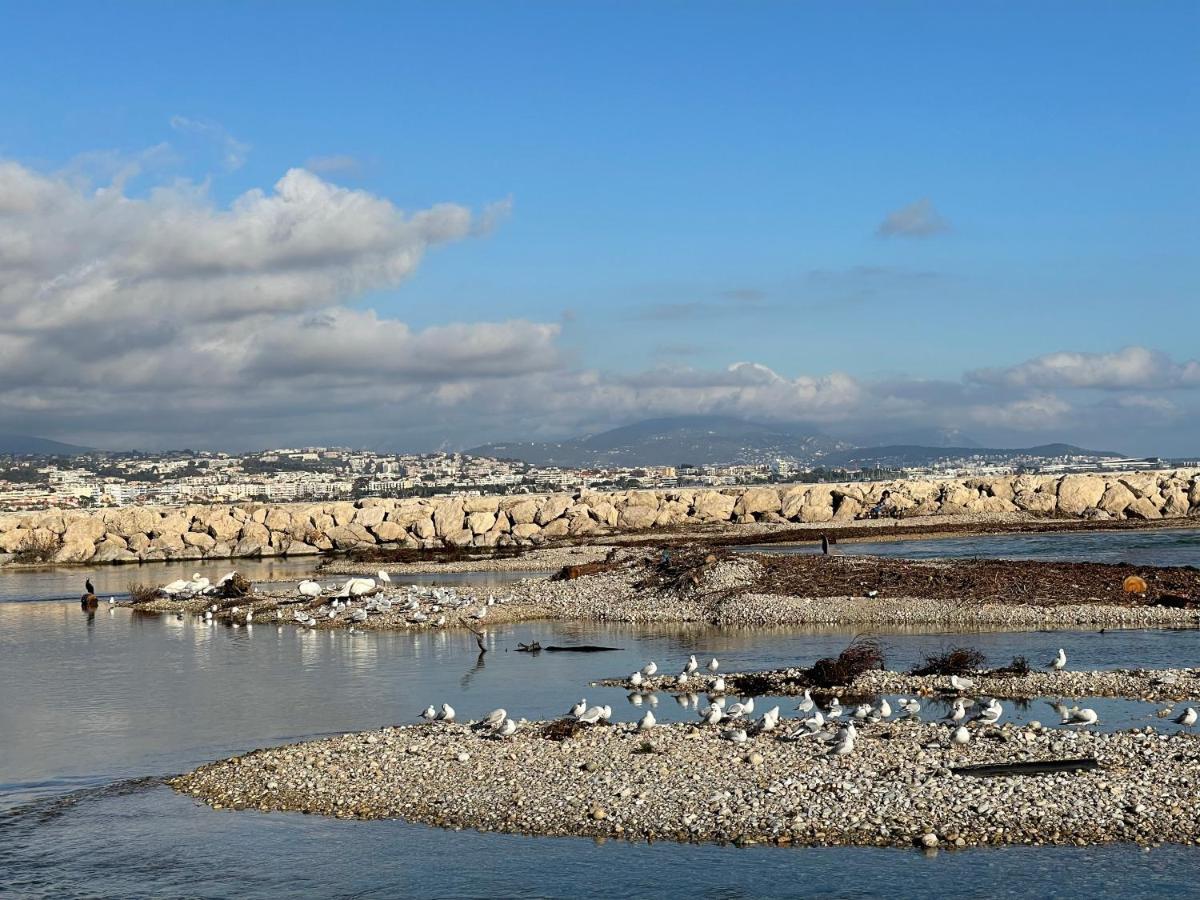 Villeneuve Loubet Plage- Entre Nice Et Cannes Exterior photo