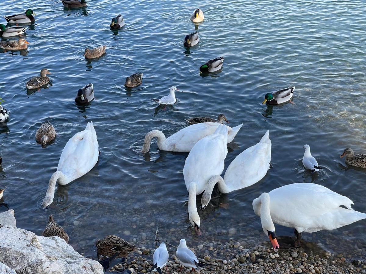 Villeneuve Loubet Plage- Entre Nice Et Cannes Exterior photo