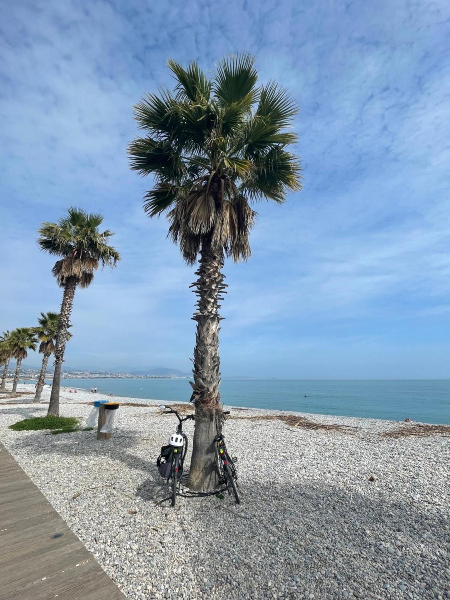 Villeneuve Loubet Plage- Entre Nice Et Cannes Exterior photo