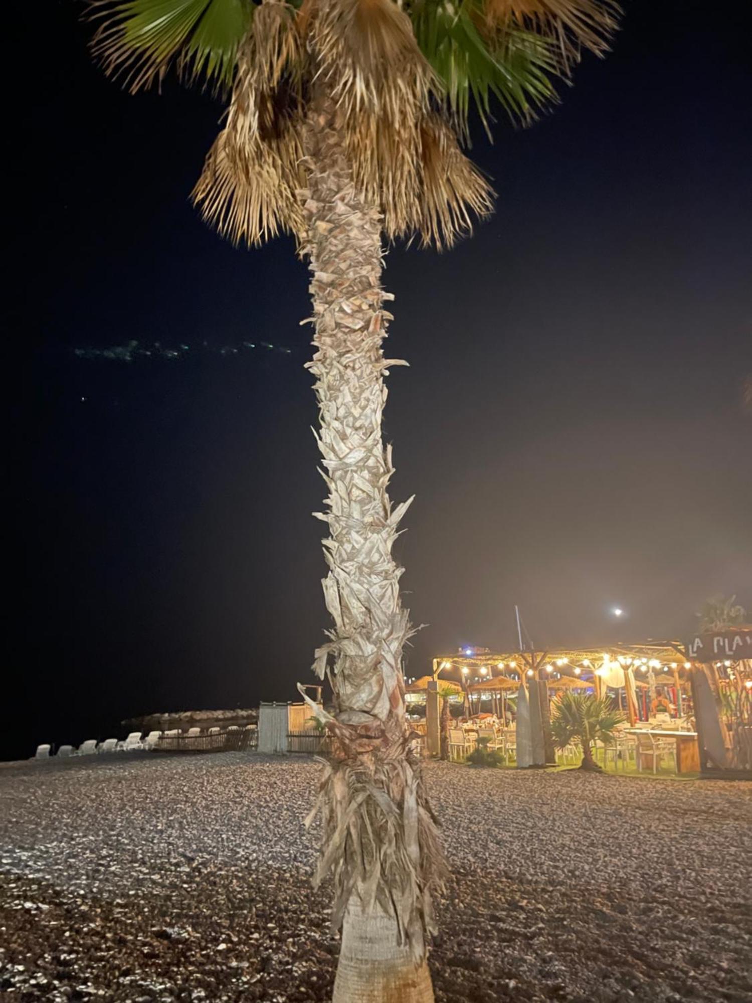 Villeneuve Loubet Plage- Entre Nice Et Cannes Exterior photo