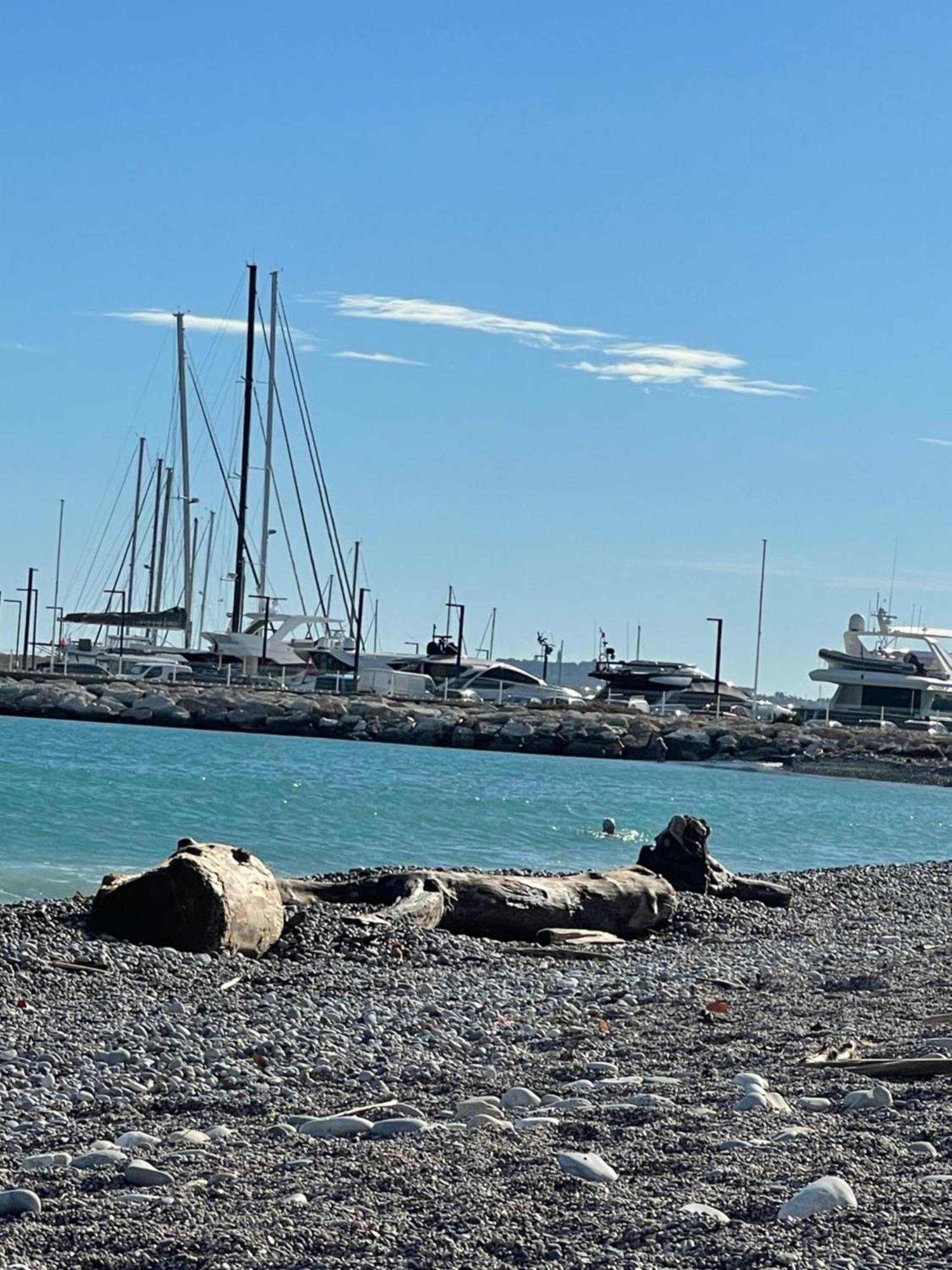 Villeneuve Loubet Plage- Entre Nice Et Cannes Exterior photo