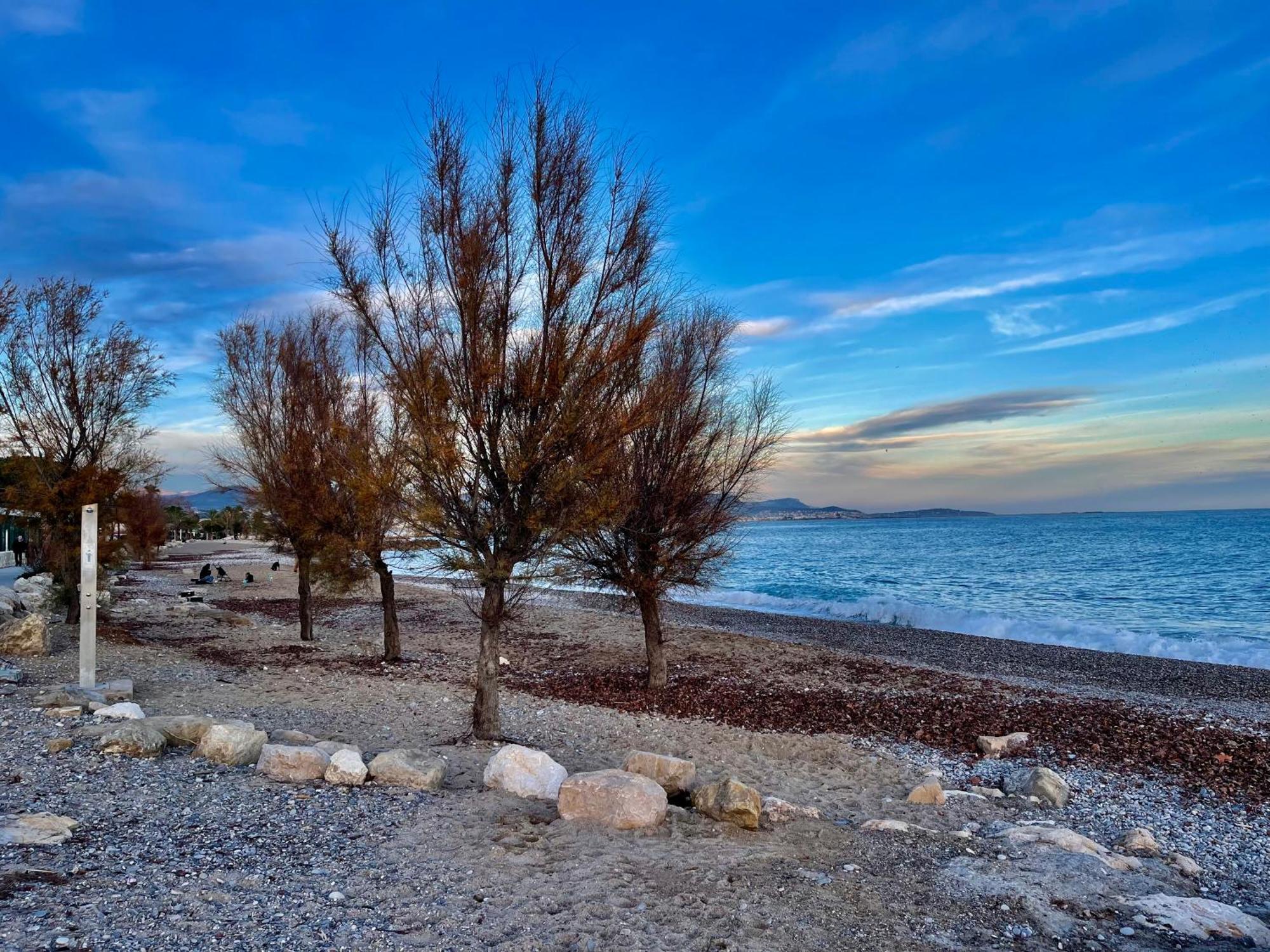 Villeneuve Loubet Plage- Entre Nice Et Cannes Exterior photo
